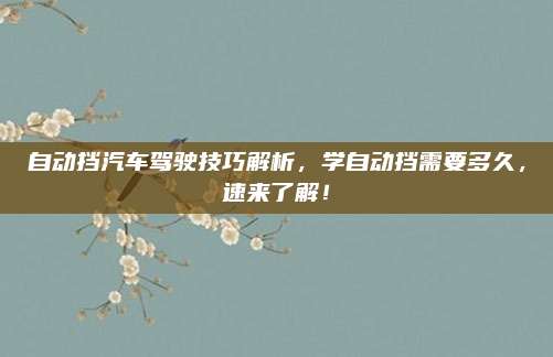 自动挡汽车驾驶技巧解析,学自动挡需要多久,速来了解!