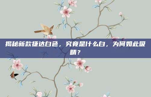 揭秘新款捷达白色,究竟是什么白,为何如此吸睛?