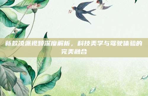新款凌派视频深度解析,科技美学与驾驶体验的完美融合