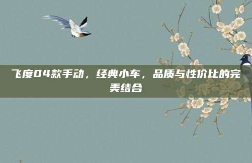 飞度04款手动,经典小车,品质与性价比的完美结合