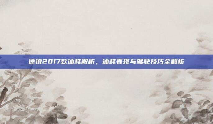 途锐2017款油耗解析,油耗表现与驾驶技巧全解析