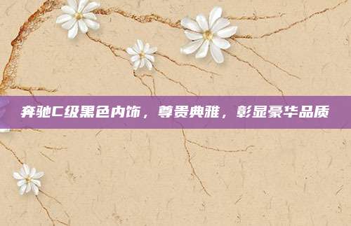 奔驰C级黑色内饰,尊贵典雅,彰显豪华品质