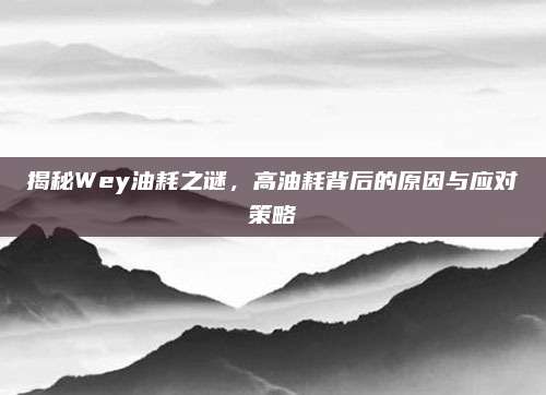 揭秘Wey油耗之谜,高油耗背后的原因与应对策略
