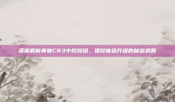 深度解析奔驰C63中控按钮,操控体验升级的秘密武器