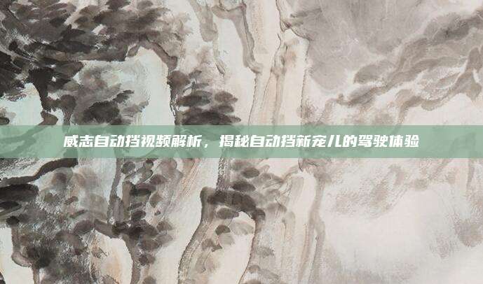 威志自动挡视频解析,揭秘自动挡新宠儿的驾驶体验