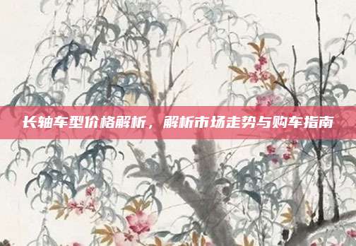 长轴车型价格解析,解析市场走势与购车指南