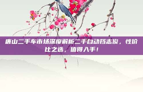 唐山二手车市场深度解析二手自动挡志俊,性价比之选,值得入手!