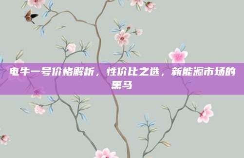 电牛一号价格解析，性价比之选，新能源市场的黑马