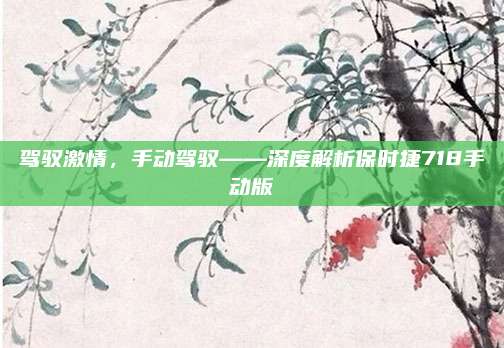 驾驭激情,手动驾驭——深度解析保时捷718手动版
