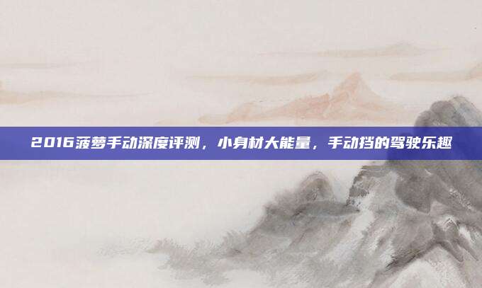 2016菠萝手动深度评测,小身材大能量,手动挡的驾驶乐趣