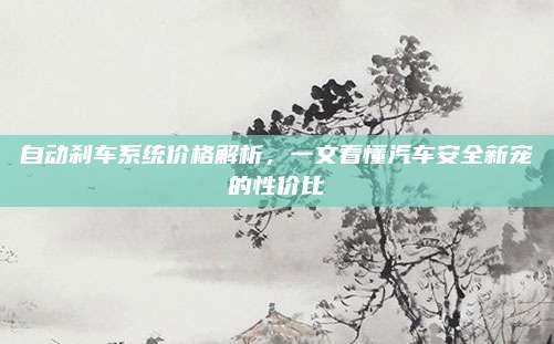 自动刹车系统价格解析,一文看懂汽车安全新宠的性价比