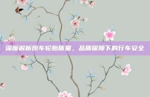 深度解析原车轮胎质量,品质保障下的行车安全
