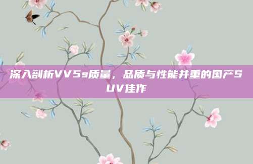 深入剖析VV5s质量,品质与性能并重的国产SUV佳作