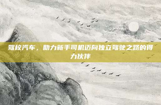 驾校汽车,助力新手司机迈向独立驾驶之路的得力伙伴