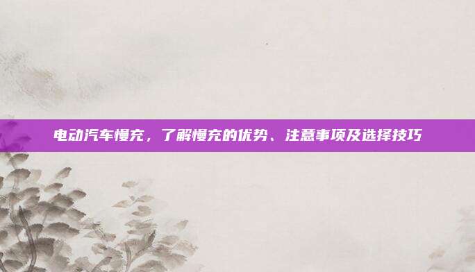 电动汽车慢充,了解慢充的优势、注意事项及选择技巧