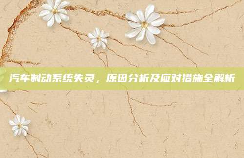 汽车制动系统失灵,原因分析及应对措施全解析