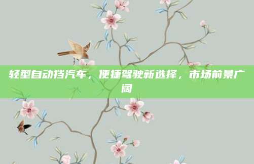 轻型自动挡汽车,便捷驾驶新选择,市场前景广阔