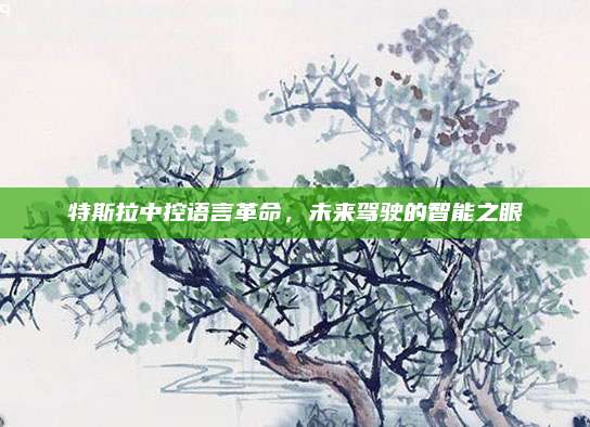 特斯拉中控语言革命,未来驾驶的智能之眼