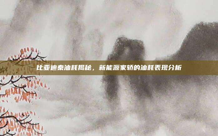 比亚迪秦油耗揭秘,新能源家轿的油耗表现分析