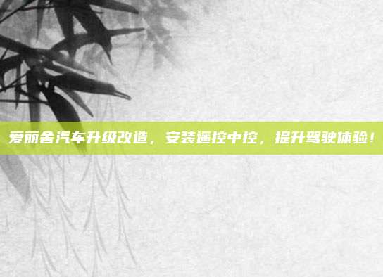 爱丽舍汽车升级改造,安装遥控中控,提升驾驶体验!