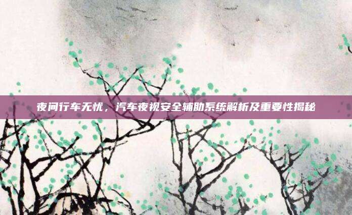 夜间行车无忧,汽车夜视安全辅助系统解析及重要性揭秘