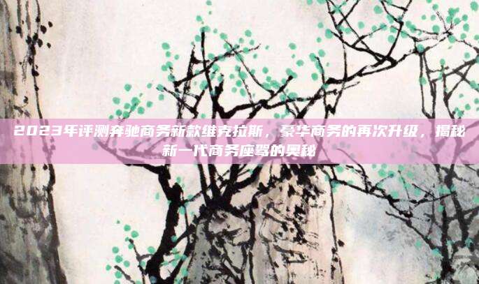 2023年评测奔驰商务新款维克拉斯,豪华商务的再次升级,揭秘新一代商务座驾的奥秘