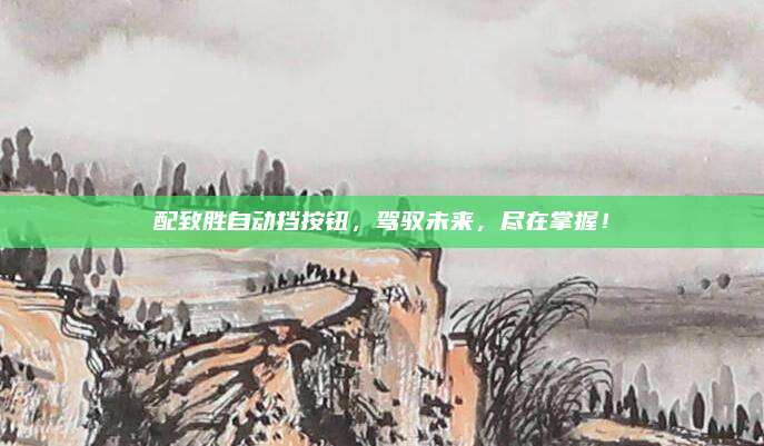 配致胜自动挡按钮,驾驭未来,尽在掌握!