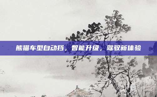 熊猫车型自动挡,智能升级,驾驭新体验