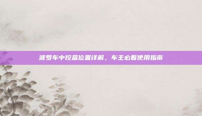 波罗车中控盒位置详解,车主必看使用指南