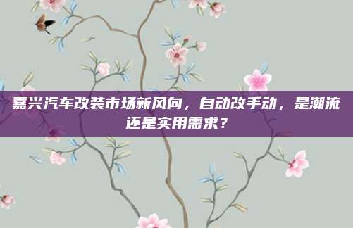 嘉兴汽车改装市场新风向,自动改手动,是潮流还是实用需求?