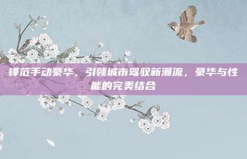 锋范手动豪华,引领城市驾驭新潮流,豪华与性能的完美结合