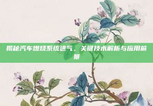 揭秘汽车燃烧系统进气,关键技术解析与应用前景