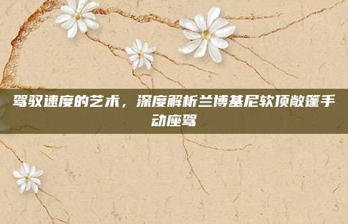 驾驭速度的艺术，深度解析兰博基尼软顶敞篷手动座驾