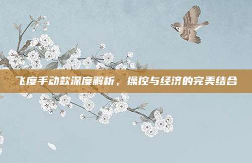 飞度手动款深度解析，操控与经济的完美结合