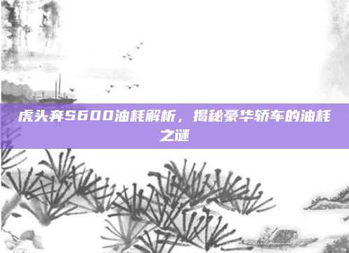 虎头奔S600油耗解析,揭秘豪华轿车的油耗之谜