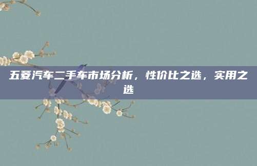 五菱汽车二手车市场分析,性价比之选,实用之选