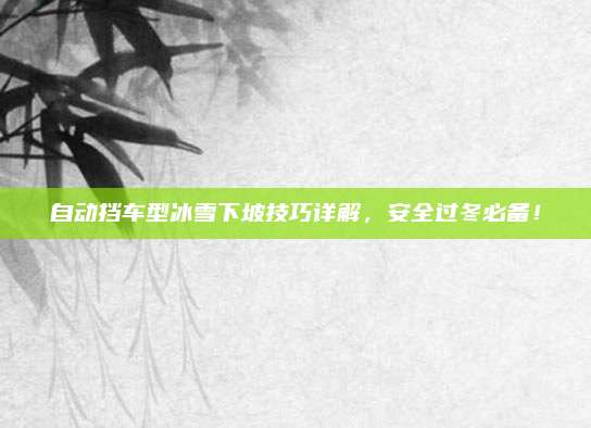 自动挡车型冰雪下坡技巧详解,安全过冬必备!