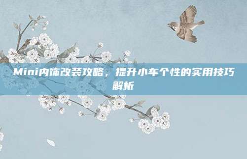 Mini内饰改装攻略,提升小车个性的实用技巧解析