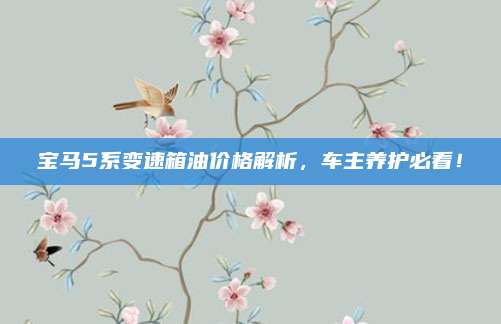 宝马5系变速箱油价格解析,车主养护必看!