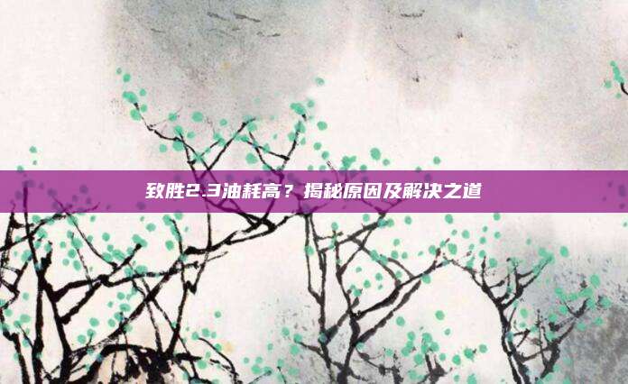 致胜2.3油耗高?揭秘原因及解决之道