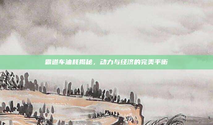 霸道车油耗揭秘,动力与经济的完美平衡