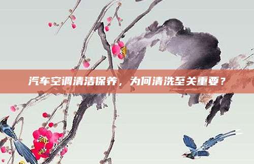 汽车空调清洁保养,为何清洗至关重要?