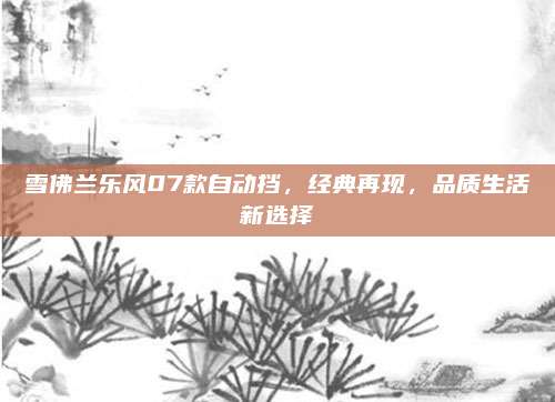 雪佛兰乐风07款自动挡,经典再现,品质生活新选择