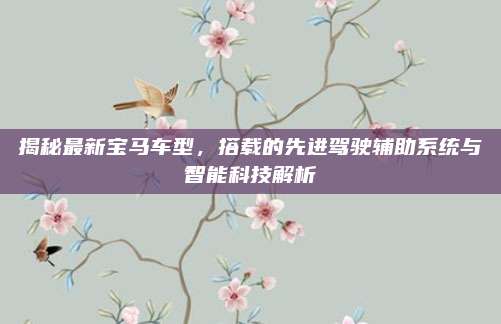 揭秘最新宝马车型,搭载的先进驾驶辅助系统与智能科技解析
