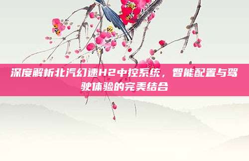 深度解析北汽幻速H2中控系统,智能配置与驾驶体验的完美结合