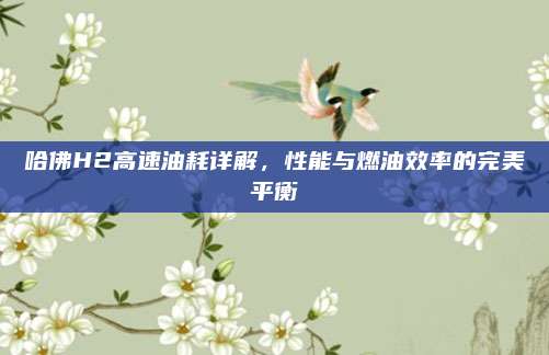 哈佛H2高速油耗详解,性能与燃油效率的完美平衡