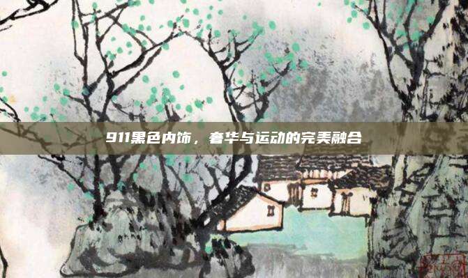 911黑色内饰,奢华与运动的完美融合
