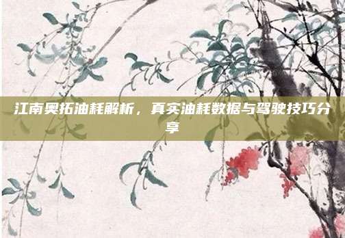 江南奥拓油耗解析,真实油耗数据与驾驶技巧分享