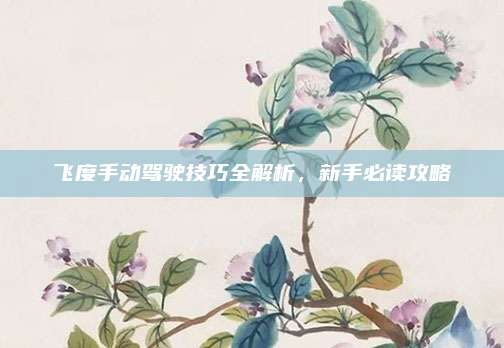 飞度手动驾驶技巧全解析,新手必读攻略