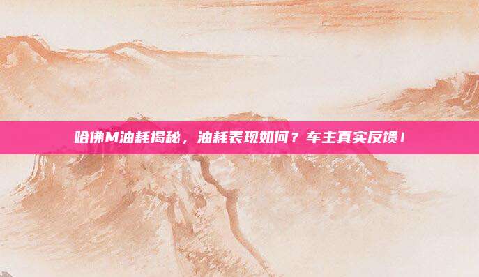 哈佛M油耗揭秘,油耗表现如何?车主真实反馈!